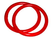 fss-w.gif (4101 bytes)