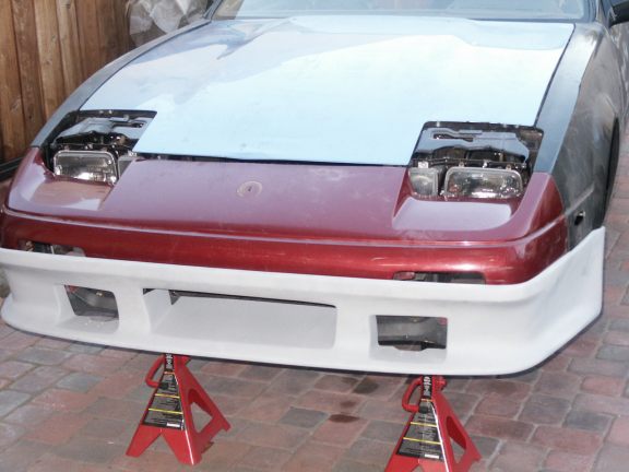 new_nose-aa.jpg (39860 bytes)