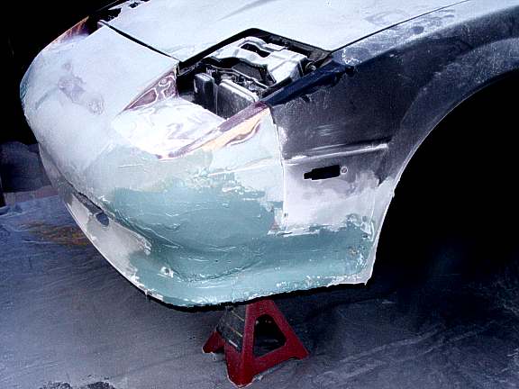 new_nose-model-31w.jpg (34794 bytes)
