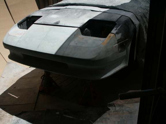 new_nose-model-48-w.jpg (18795 bytes)